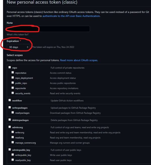 github_token_access.jpg